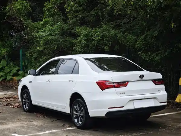 BYD Qin NEV 2021