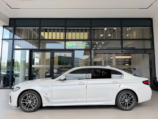 BMW 5 Series New Energy 2021
