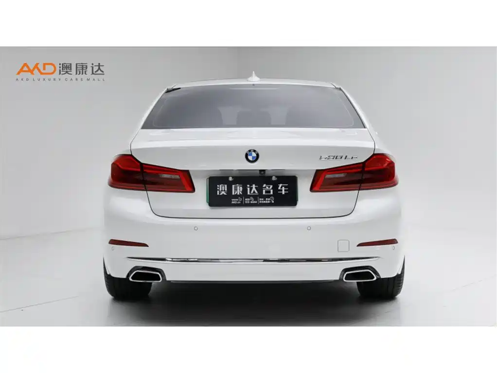BMW 5 Series New Energy 2019
