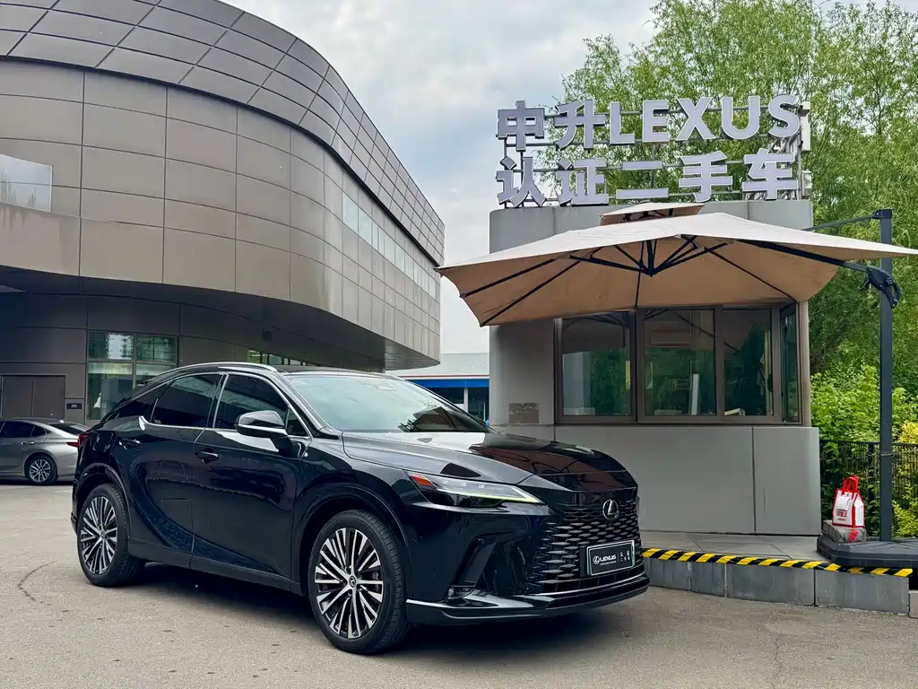 Lexus RX New Energy 2023 — фото 1