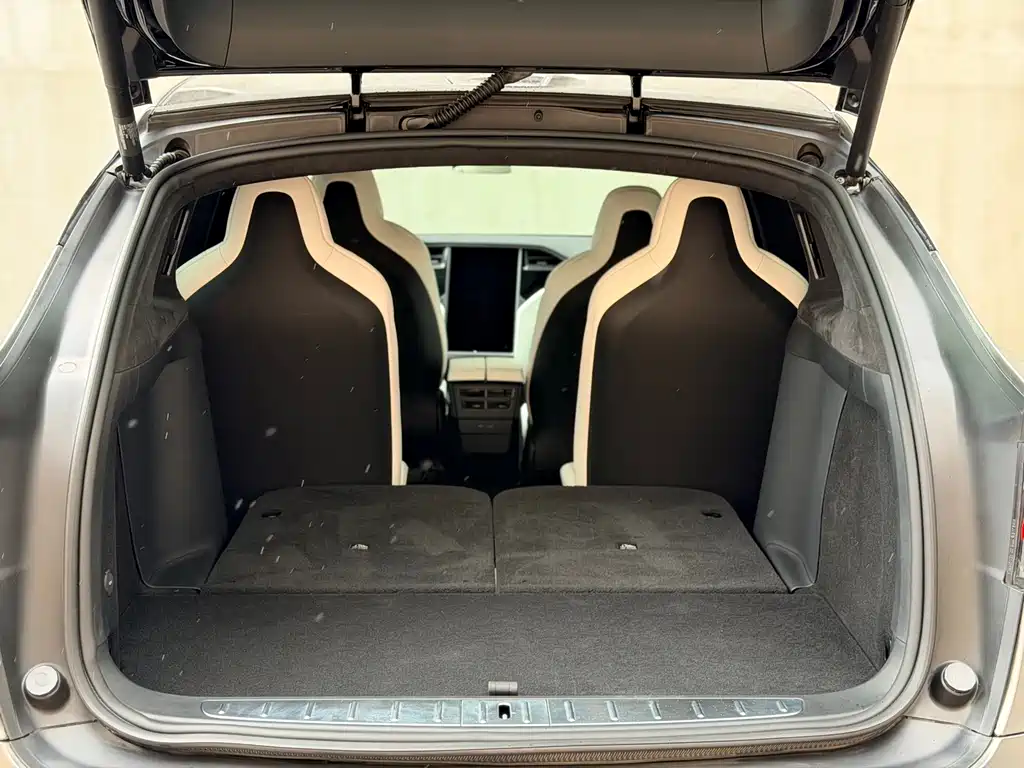 Tesla Model X 2019 — фото 15