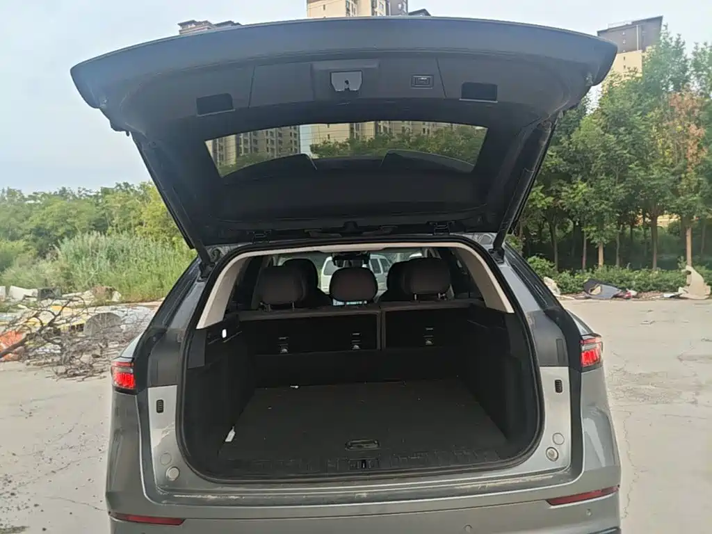 Chery Tiggo 9 C-DM 2024 — фото 19