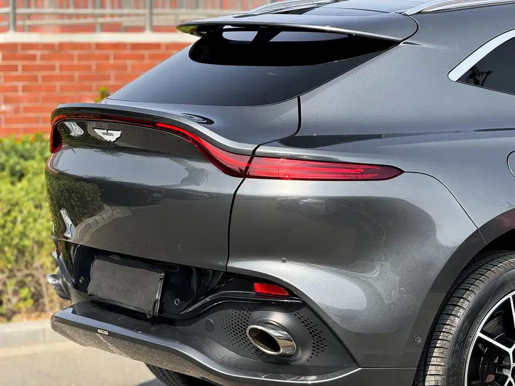Aston Martin DBX 2021 — фото 13