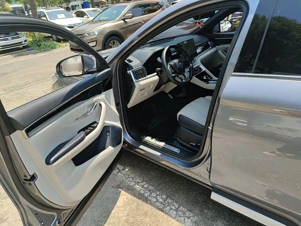 BYD PLUS New Energy 2023 — фото 16