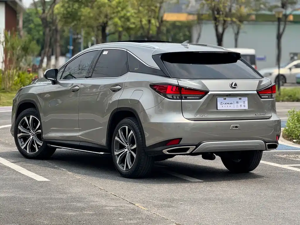Lexus RX 2020 — фото 4