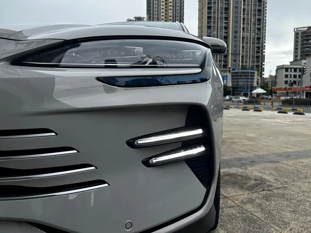 BYD Song PLUS New Energy 2024 — фото 15