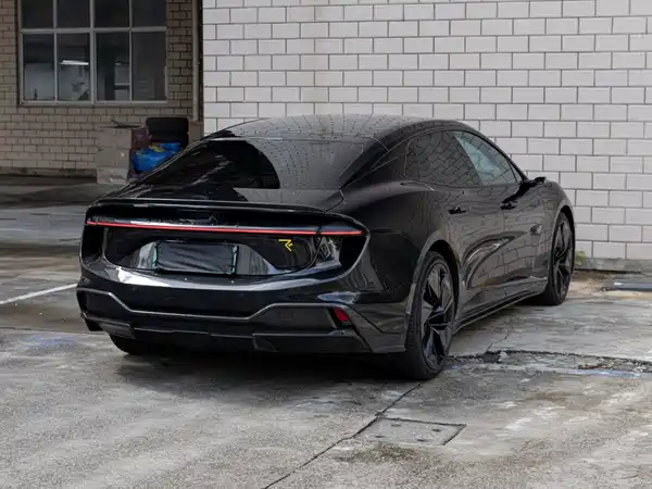 Lotus EMEYA 2024