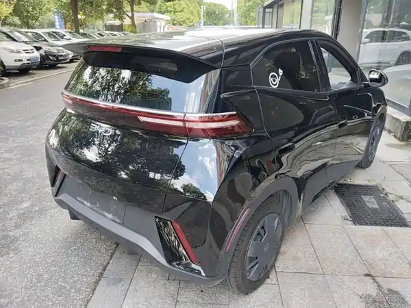BYD Seagull 2025