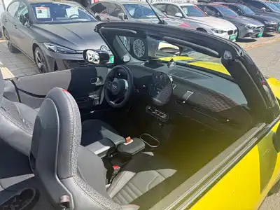 MINI MINI 2025