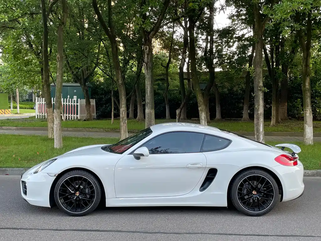 Porsche Cayman 2015 — фото 19