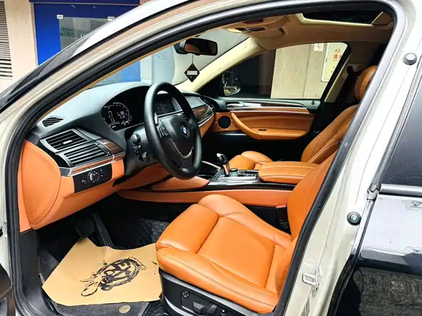 BMW X6 2010