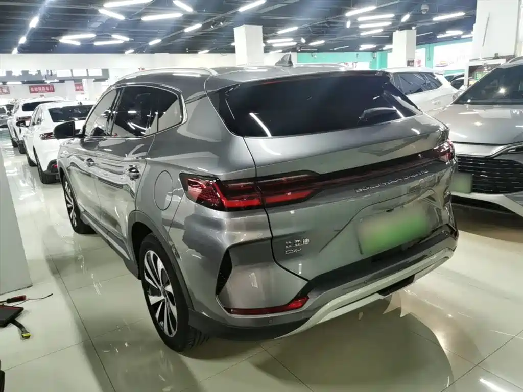 BYD PLUS New Energy 2024 — фото 5