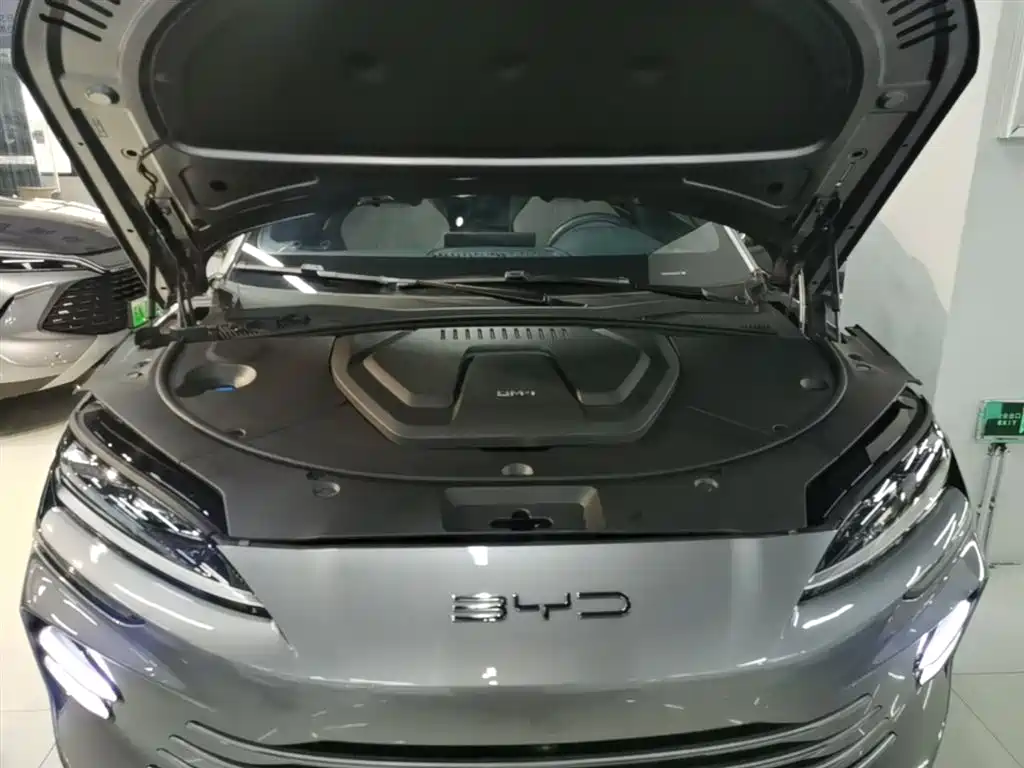 BYD PLUS New Energy 2024 — фото 20