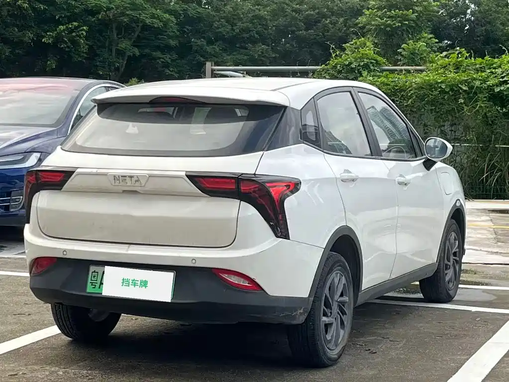Neta V 2020