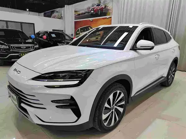 BYD Song PLUS New Energy 2024