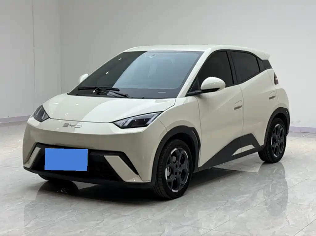 BYD Seagull 2024