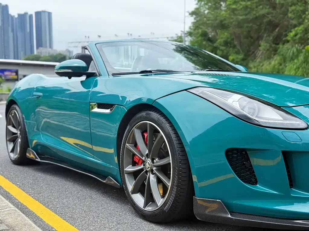 Jaguar F-TYPE 2014 — фото 16