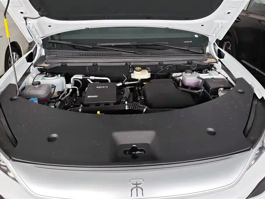BYD Pro New Energy 2026 — фото 10