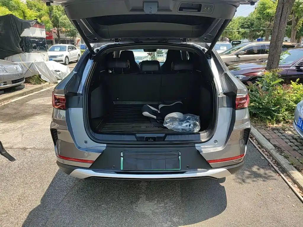 BYD PLUS New Energy 2023 — фото 19