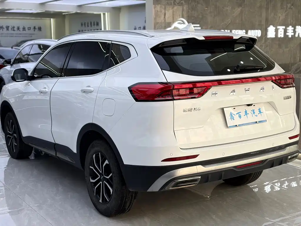 Haval H6 2022 — фото 10