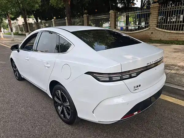 BYD Destroyer 05 2024