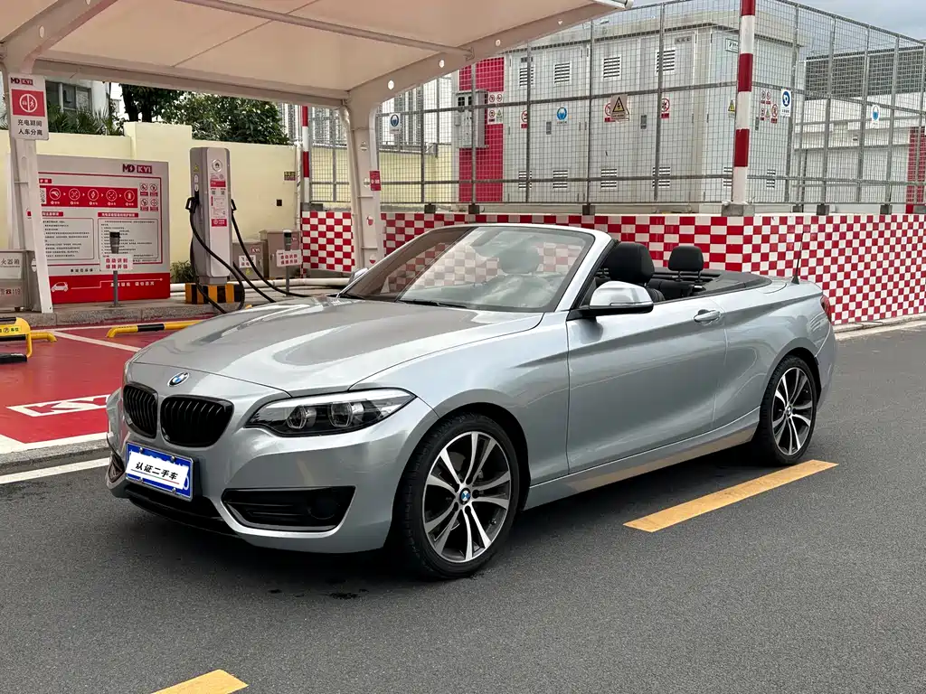 BMW 2 Series 2019