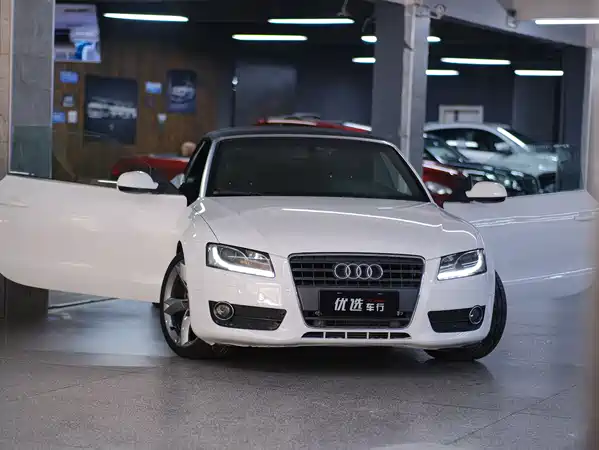 Audi A5 2010