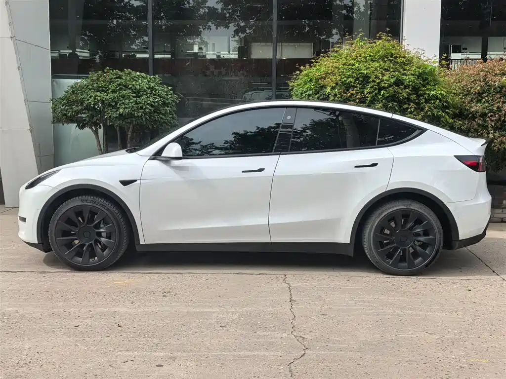 Tesla Model Y 2023 — фото 2