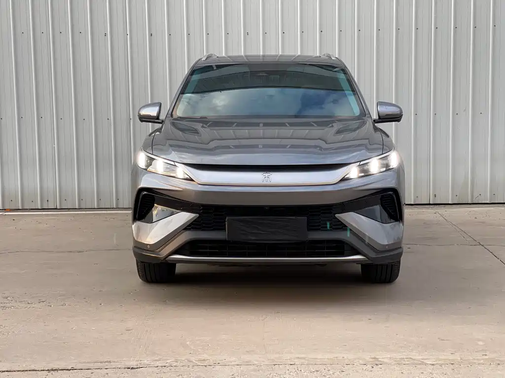 BYD Pro New Energy 2025 — фото 2