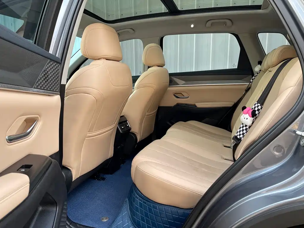 BYD Pro New Energy 2025 — фото 6