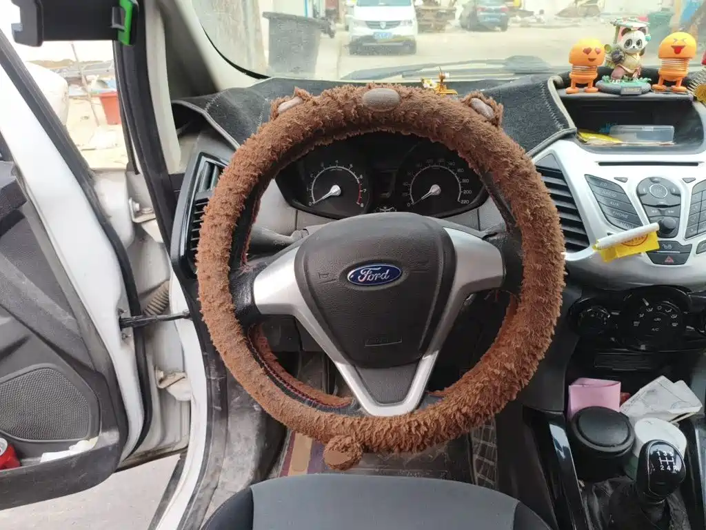 Ford Ecosport 2016 — фото 7