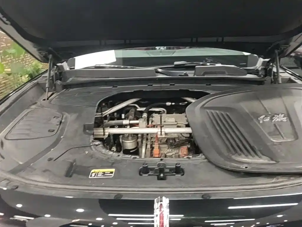 Hongqi E-HS9 2023 — фото 20