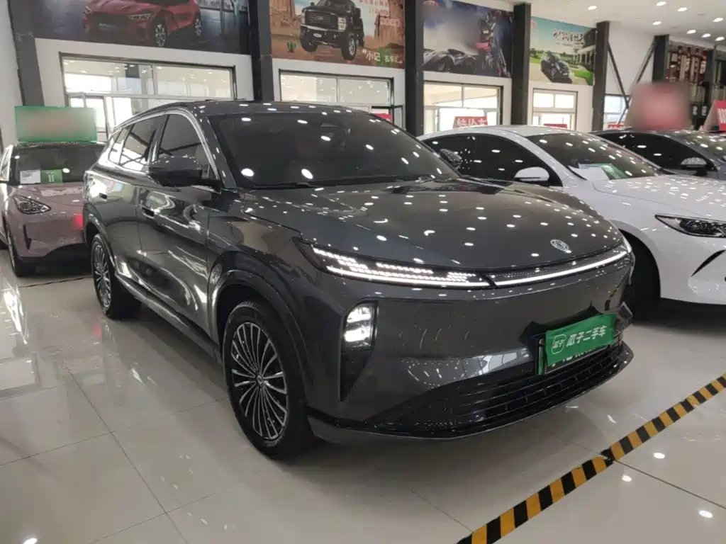 Dongfeng Fengshen L8 2025 — фото 4