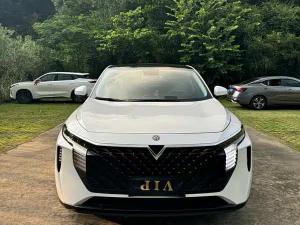 Venucia Big V 2022