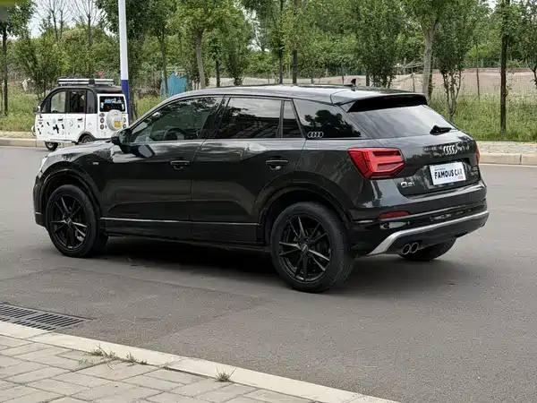 Audi Q2L 2019