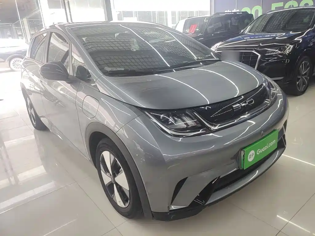BYD Dolphin 2024