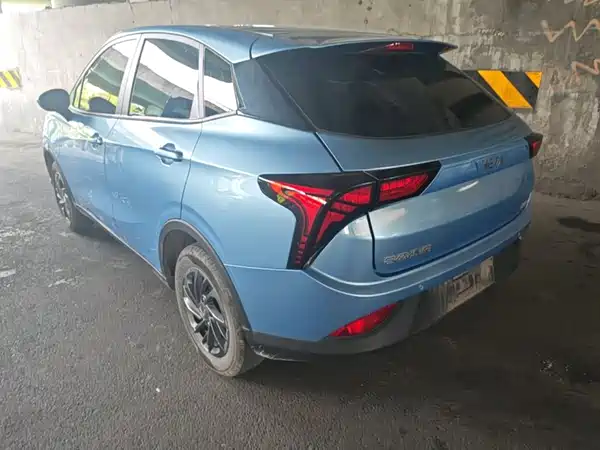Neta V 2022