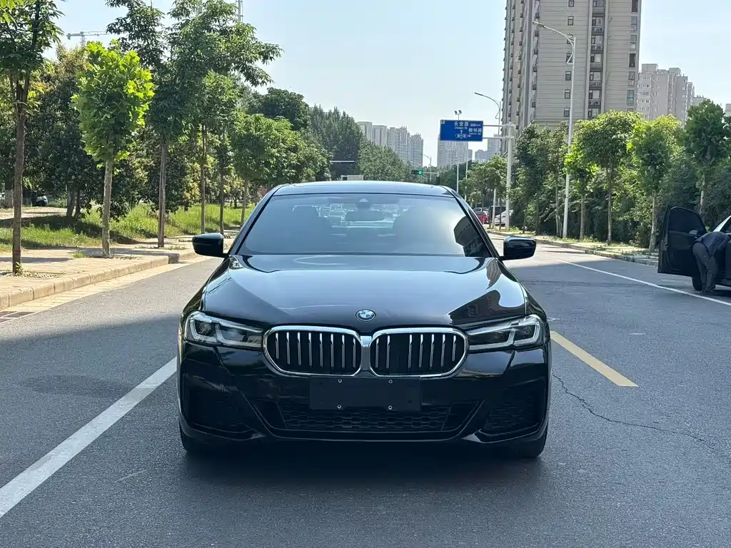 BMW 5 Series New Energy 2020 — фото 2