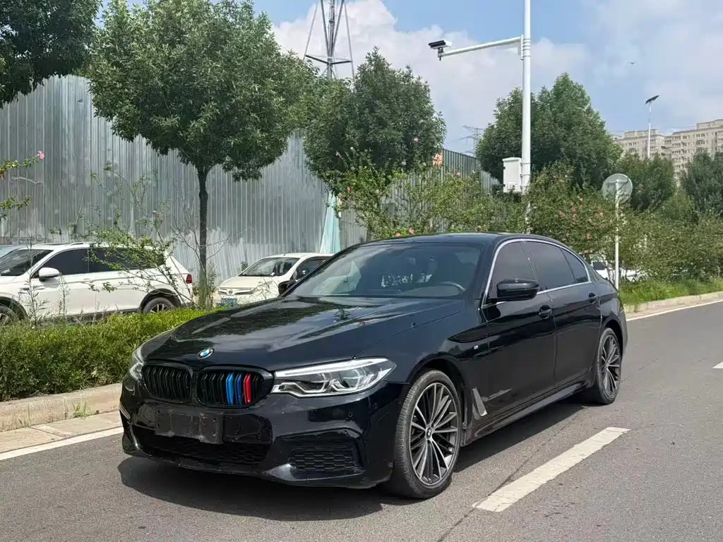 BMW 5 Series 2019