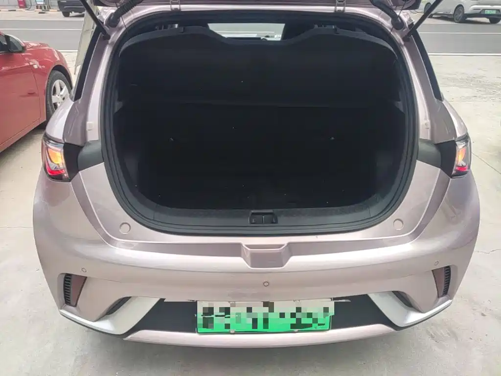 BYD Dolphin 2023 — фото 19