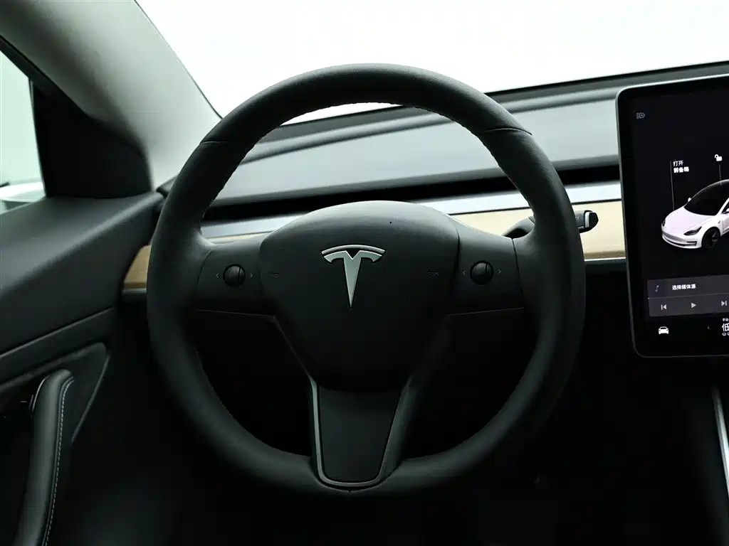 Tesla Model 3 2020 — фото 16