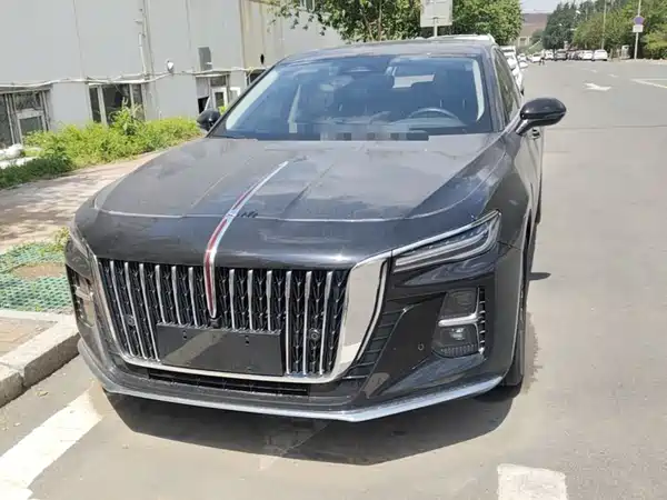 Hongqi H5 2024