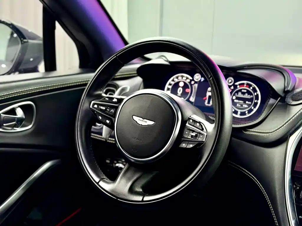 Aston Martin DBX 2022 — фото 11