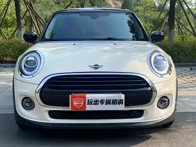 MINI MINI 2020