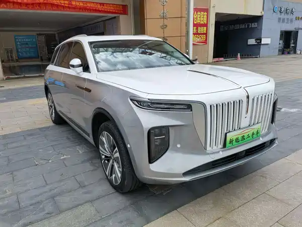 Hongqi E-HS9 2021