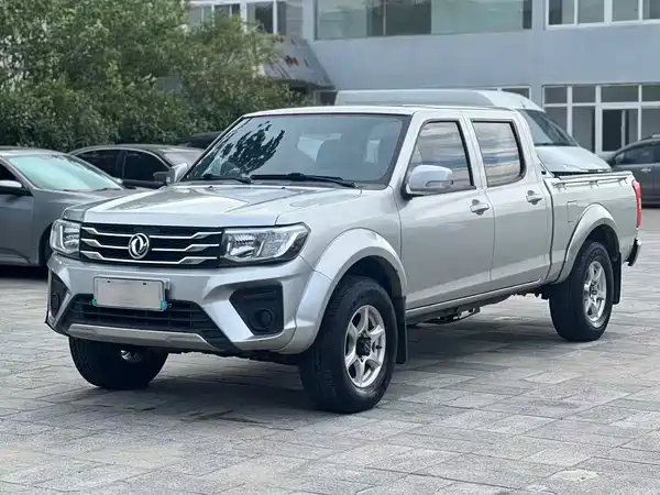 Dongfeng Ruiqi 2022