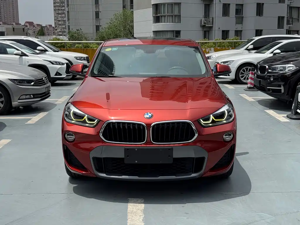 BMW X2 2019 — фото 1