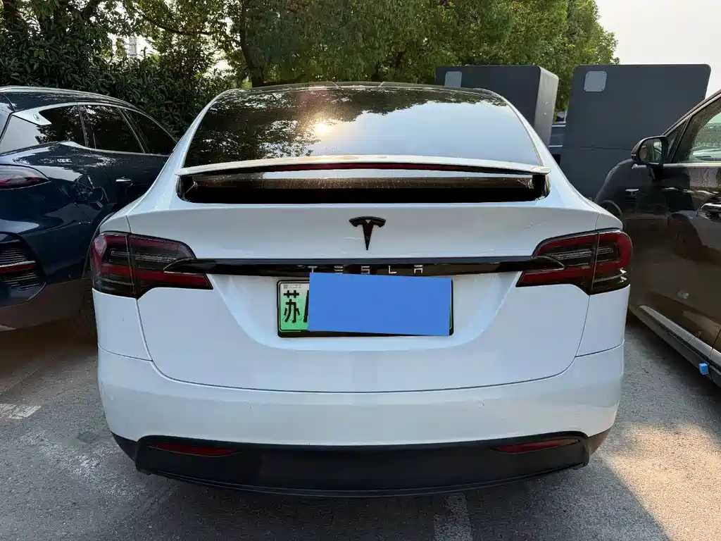 Tesla Model X 2020 — фото 7