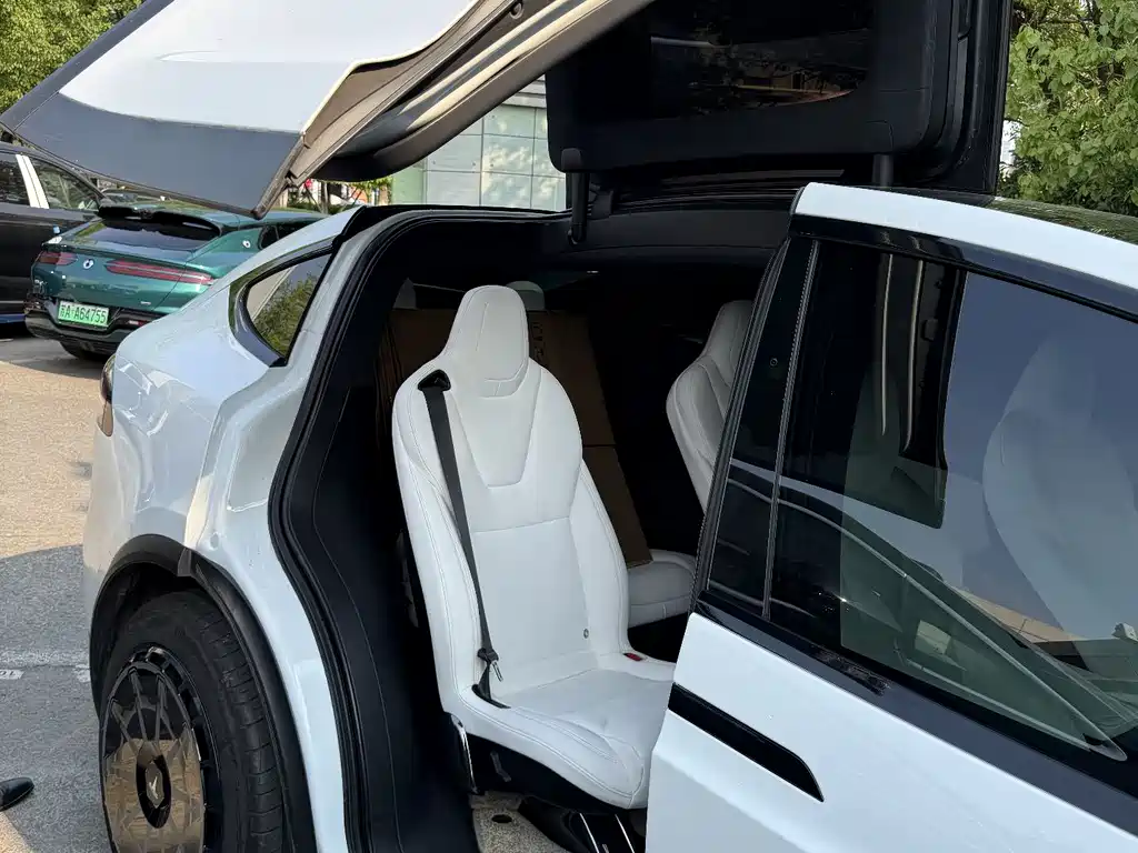 Tesla Model X 2020 — фото 10