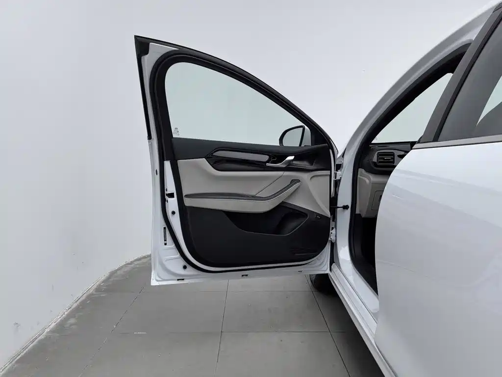 BYD Qin PLUS 2023 — фото 8